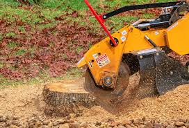 Best Lawn Drainage Solutions  in Robinwood, MD